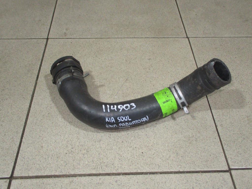 Патрубок радиатора, 3000 рублей, Пермь