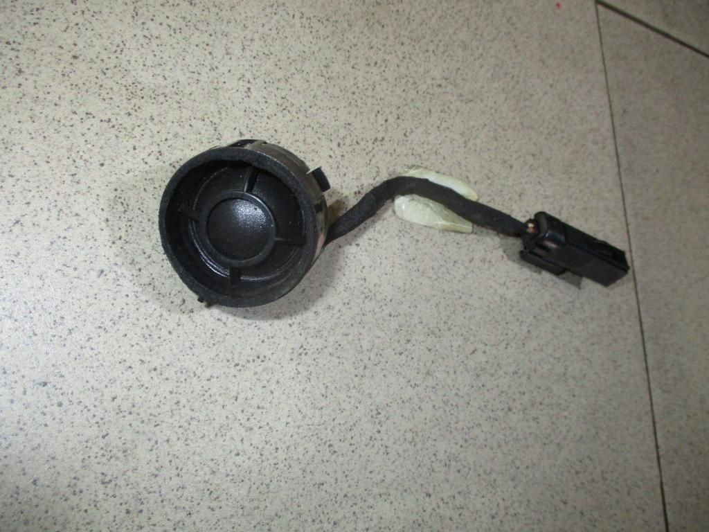 Динамик, 1000 рублей, Пермь