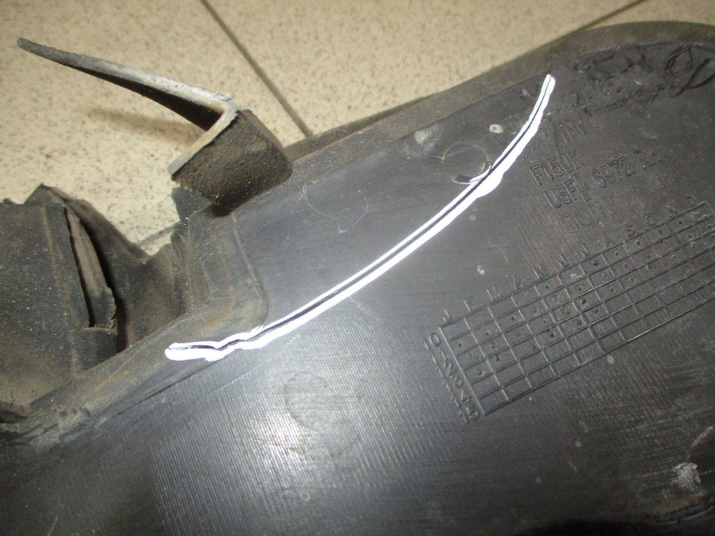 Пыльник крыла, 1000 рублей, Пермь