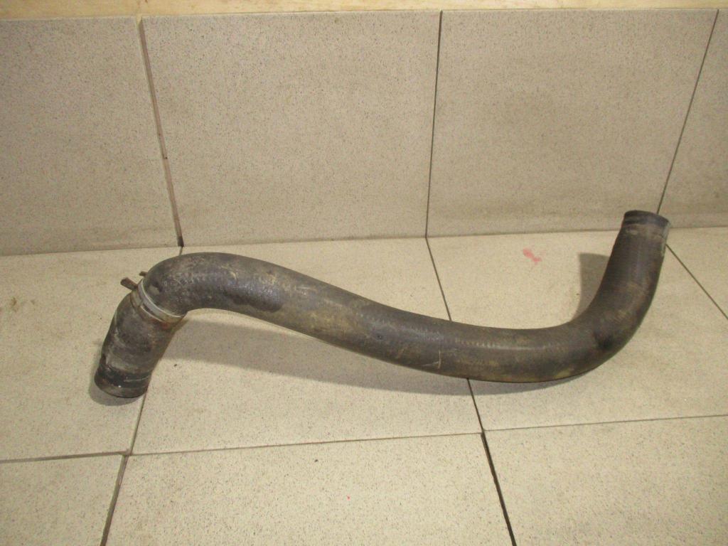 Патрубок радиатора, 2500 рублей, Пермь