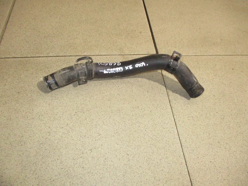 Шланг системы охлаждения, 500 рублей, Пермь