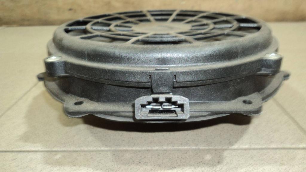 Динамик, 1000 рублей, Пермь