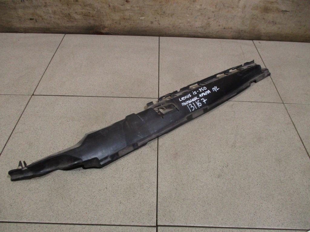 Пыльник крыла, 1000 рублей, Пермь