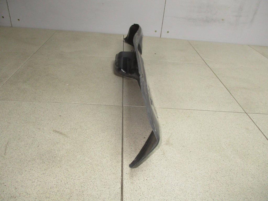 Пыльник крыла, 1000 рублей, Пермь