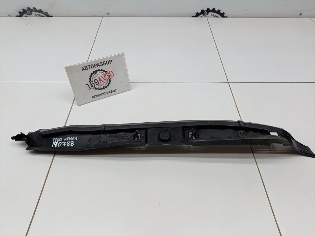 Пыльник крыла, 700 рублей, Пермь