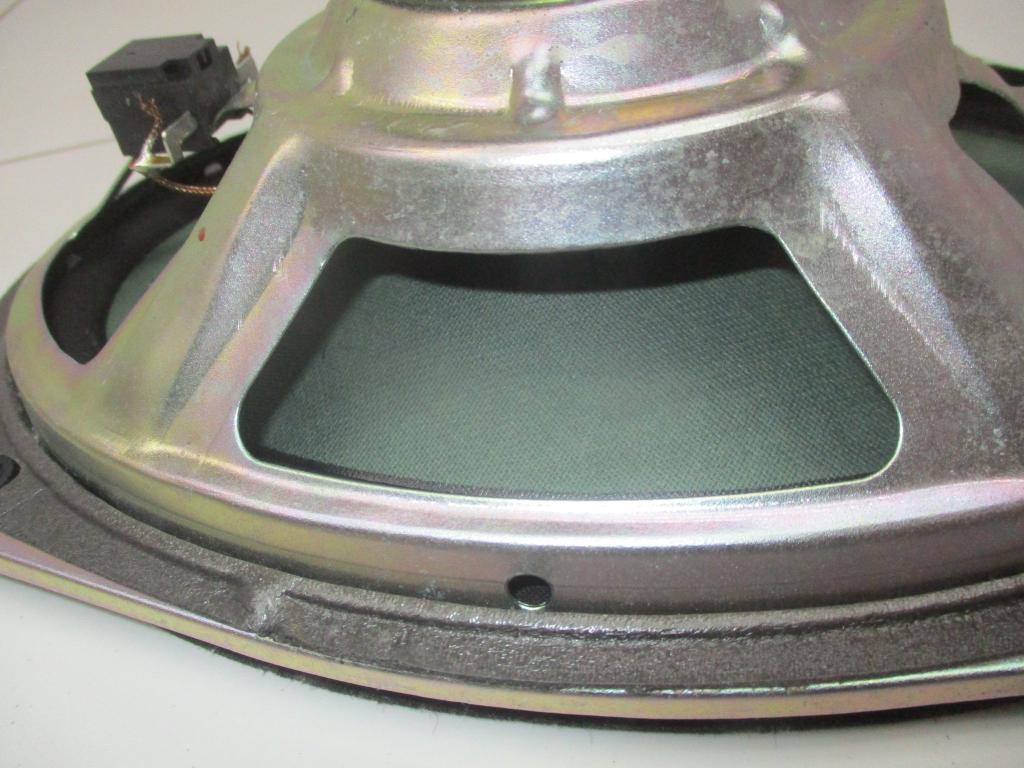 Динамик, 1000 рублей, Пермь