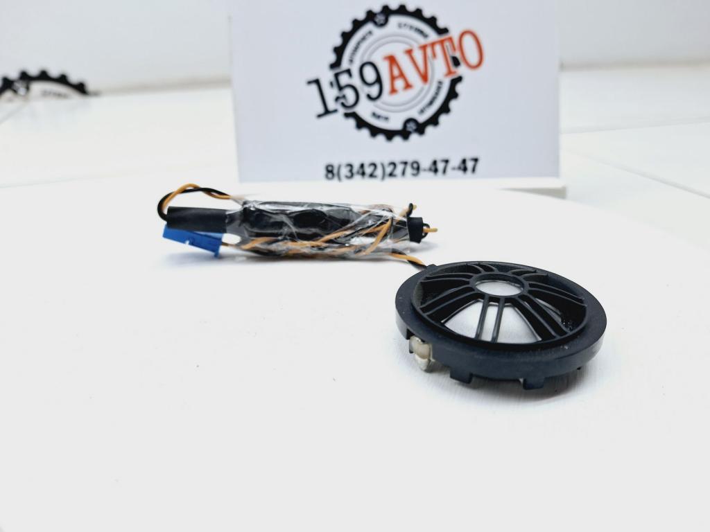 Динамик, 2000 рублей, Пермь