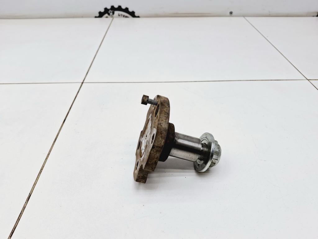 Цапфа, 1000 рублей, Пермь