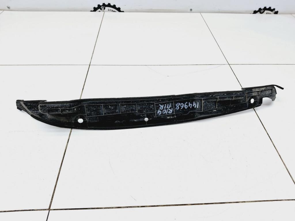 Пыльник крыла, 1000 рублей, Пермь