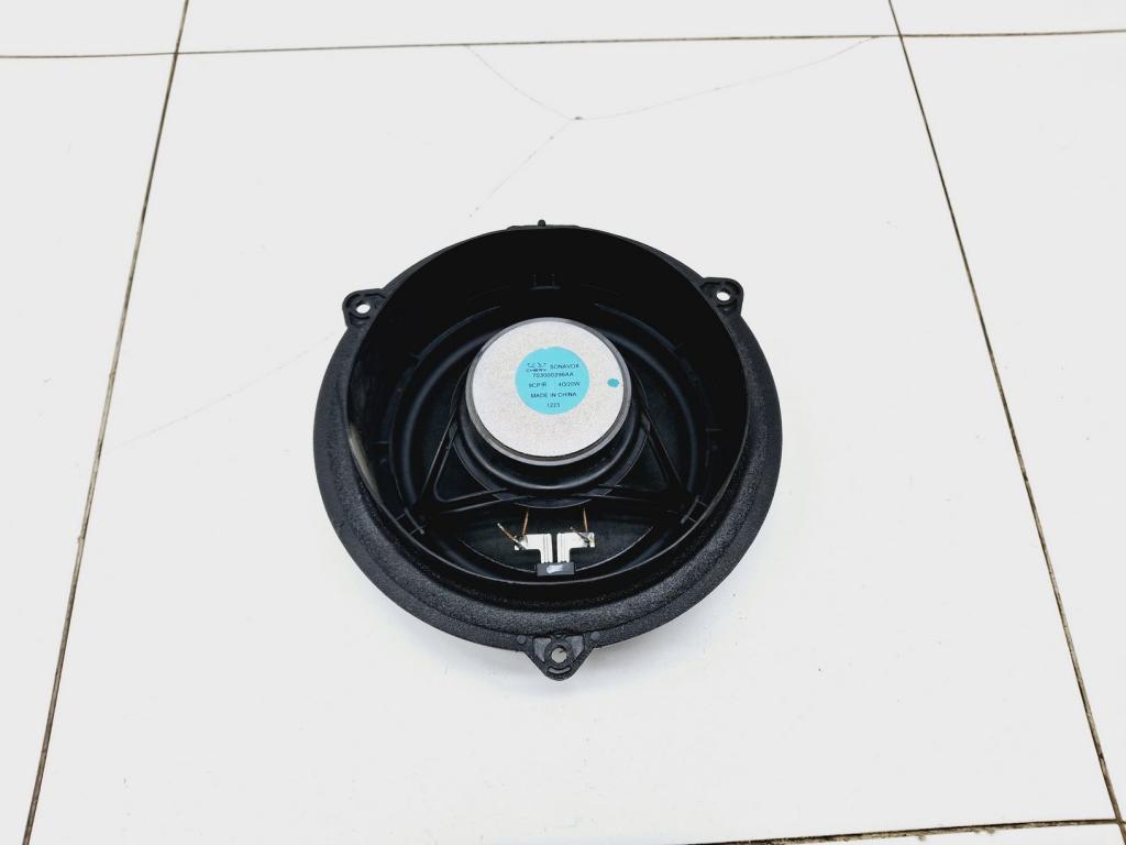 Динамик, 1000 рублей, Пермь