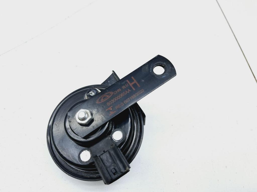 Сигнал звуковой, 1000 рублей, Пермь