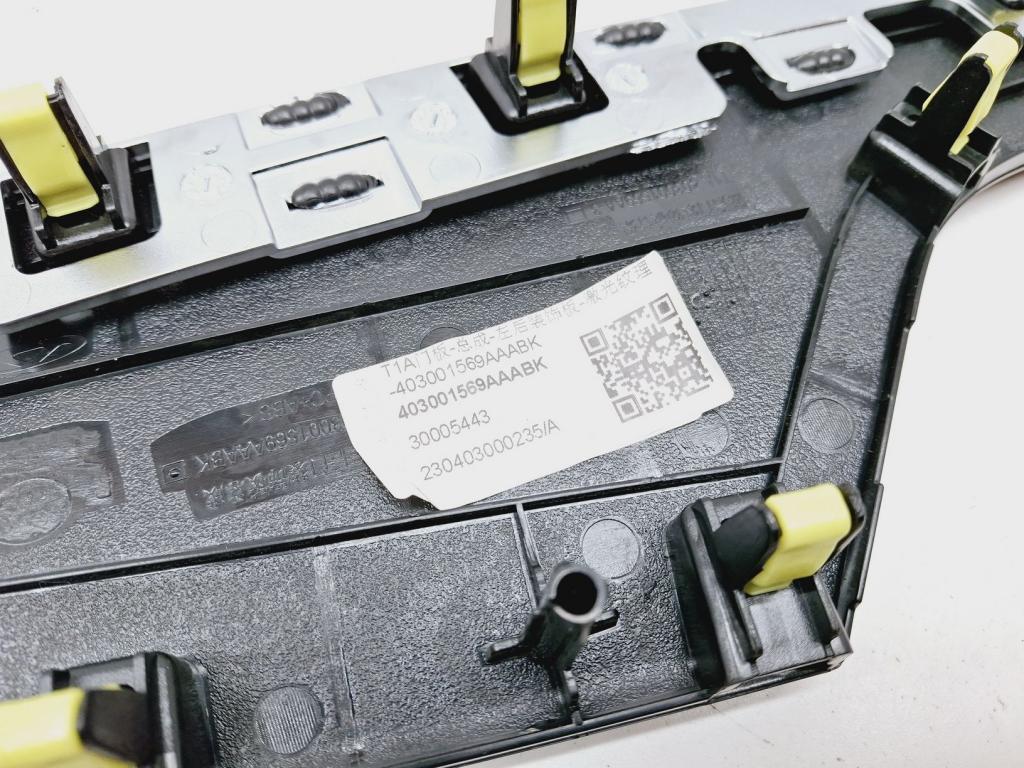 Накладка декоративная, 1000 рублей, Пермь