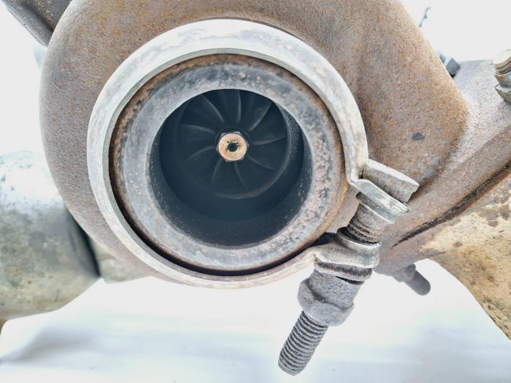 Турбина, 16000 рублей, Пермь