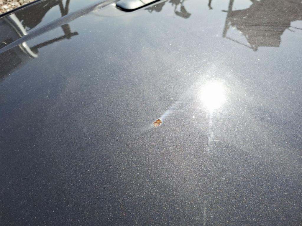 Крыша, 8000 рублей, Пермь