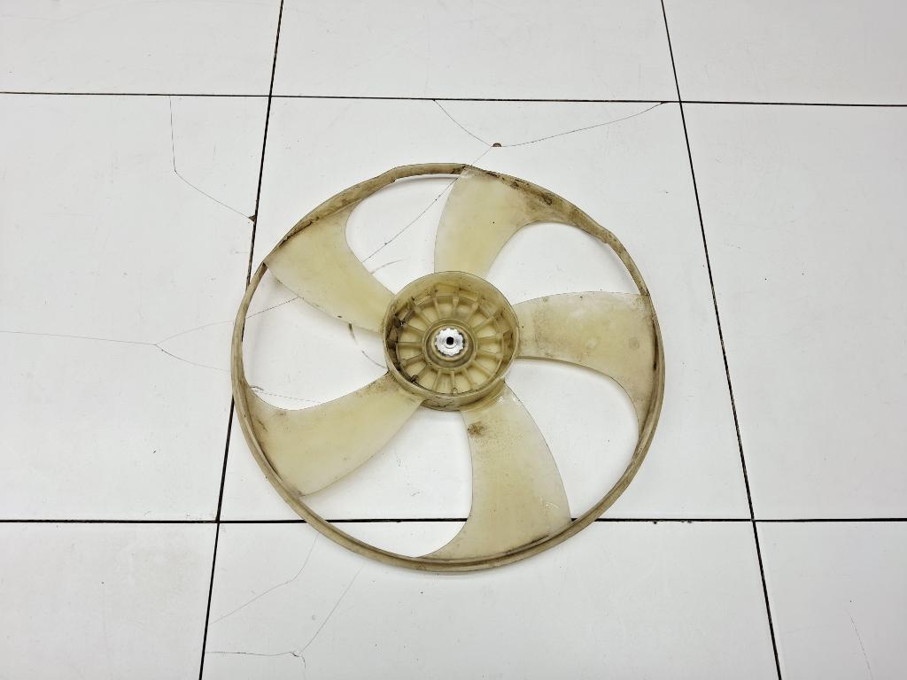 Крыльчатка, 1000 рублей, Пермь