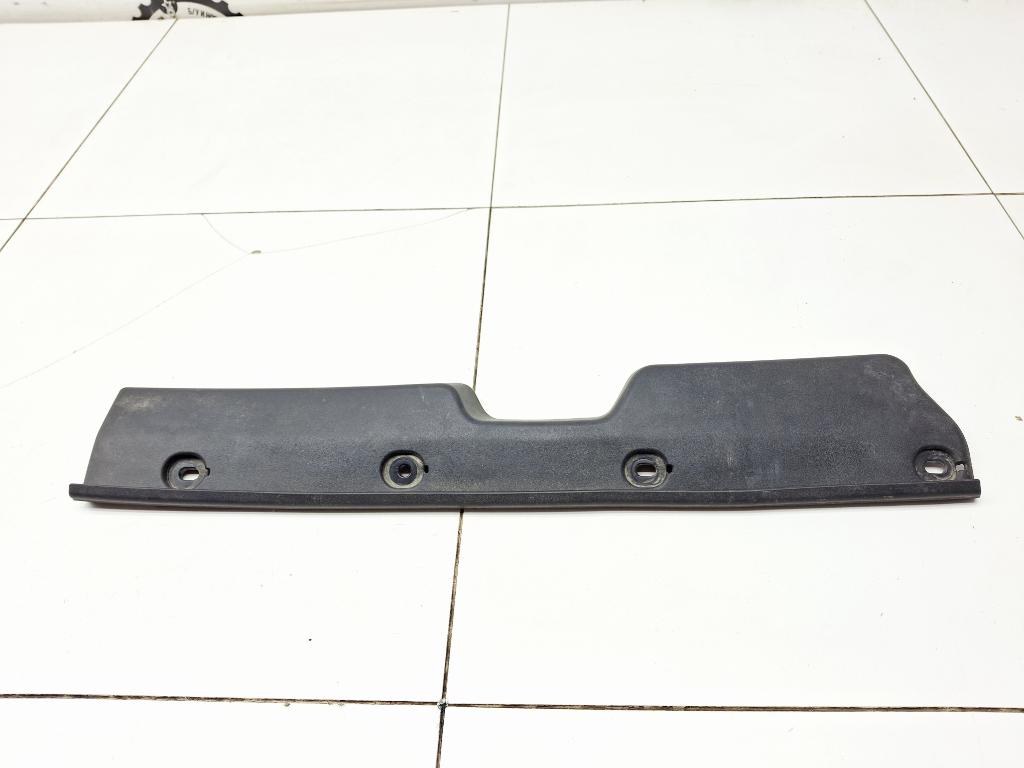 Пыльник крыла, 1000 рублей, Пермь