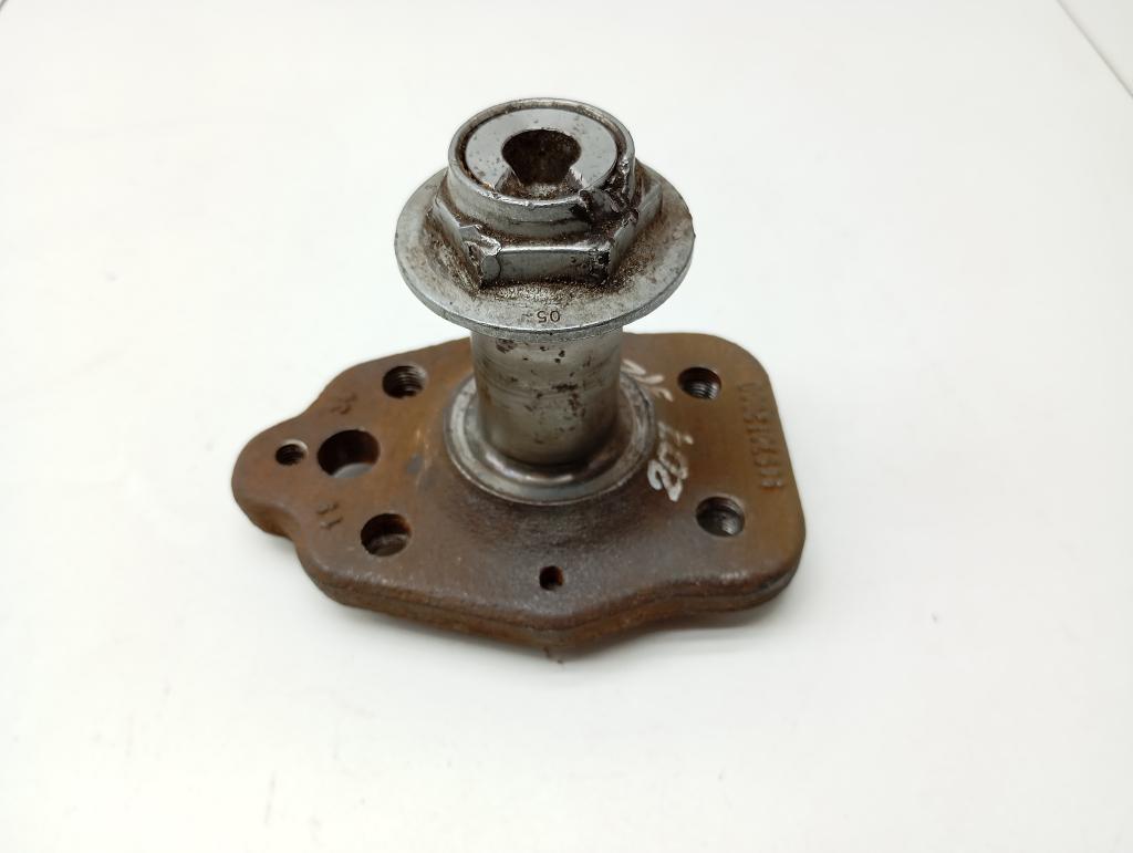 Цапфа, 1000 рублей, Пермь