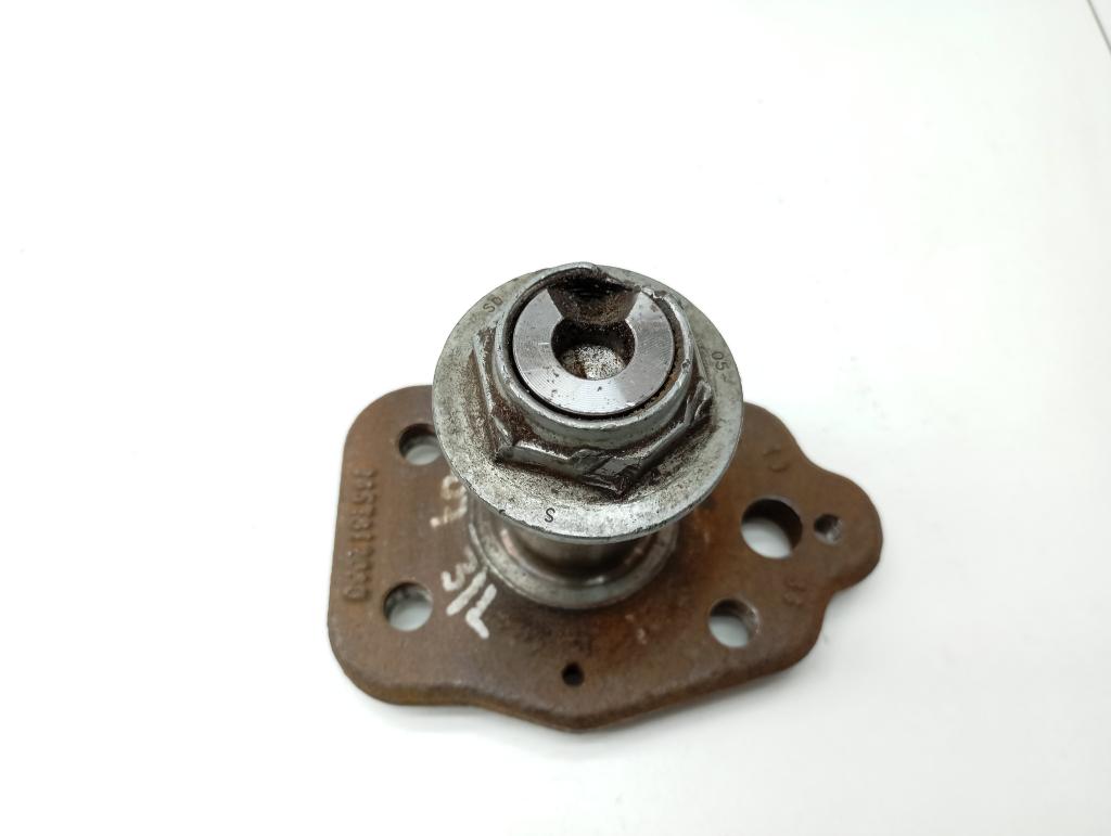 Цапфа, 1000 рублей, Пермь