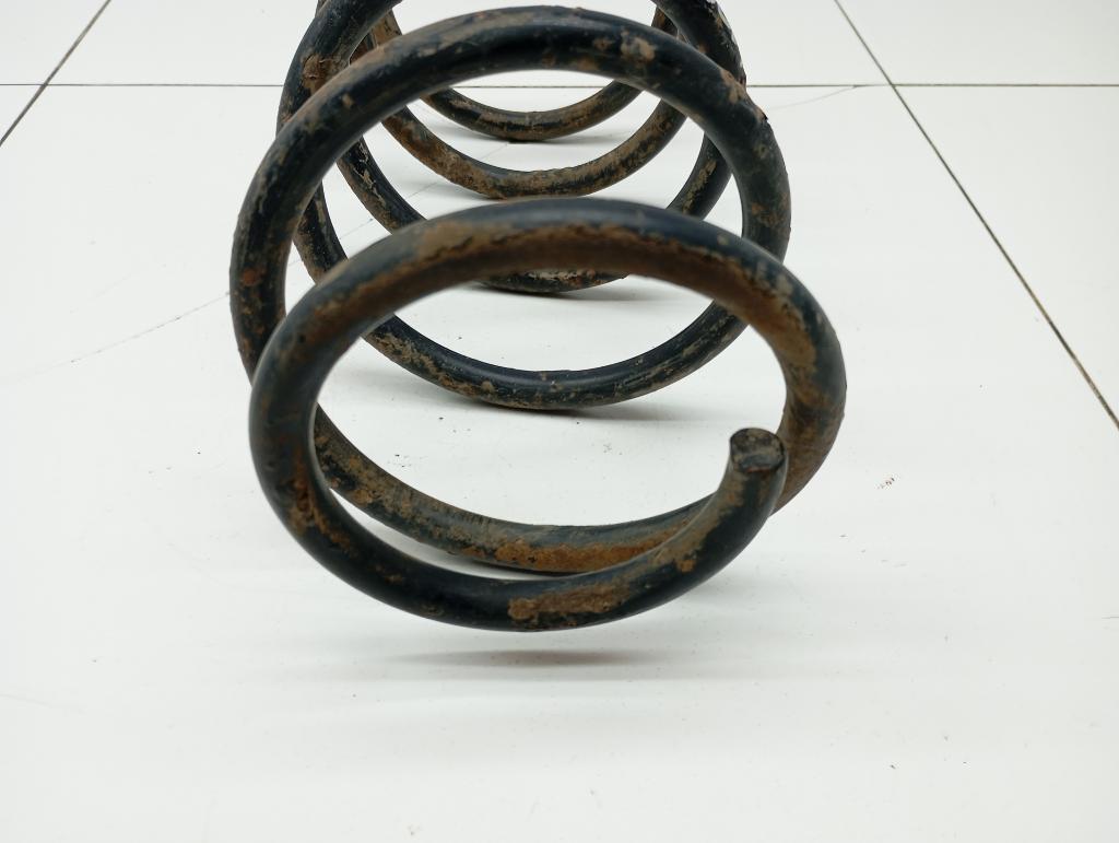 Пружина задняя, 1000 рублей, Пермь