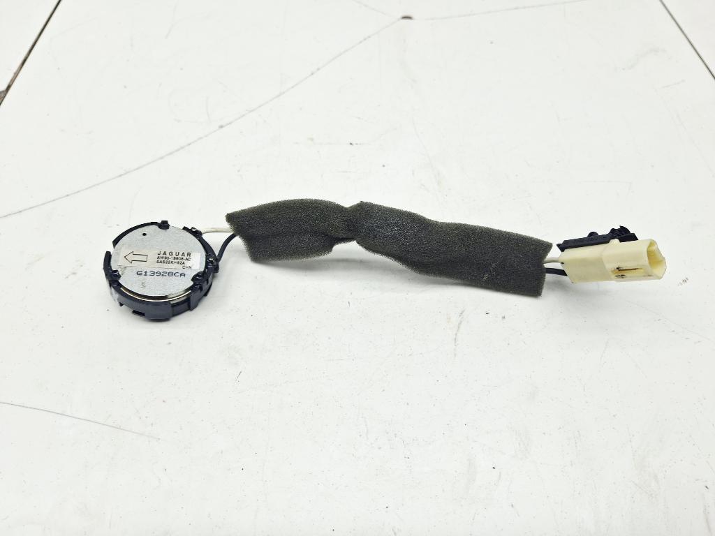 Динамик, 500 рублей, Пермь