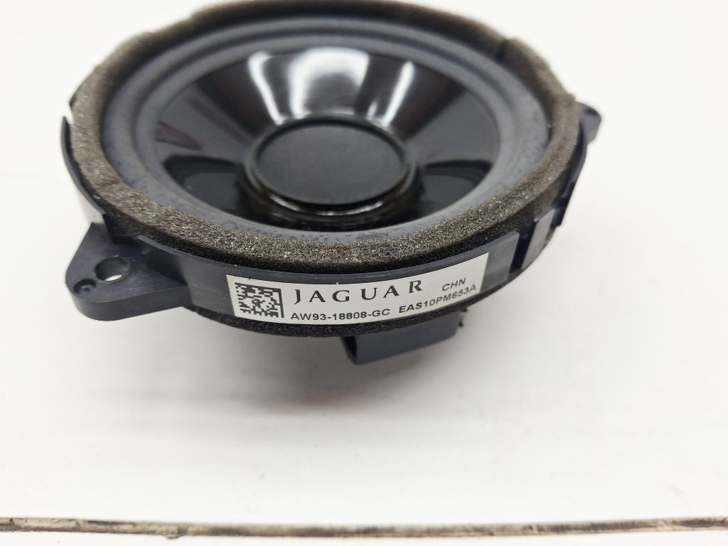 Динамик, 1000 рублей, Пермь