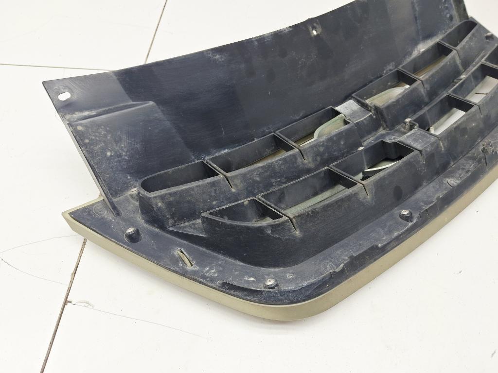 Решетка радиатора, 2000 рублей, Пермь