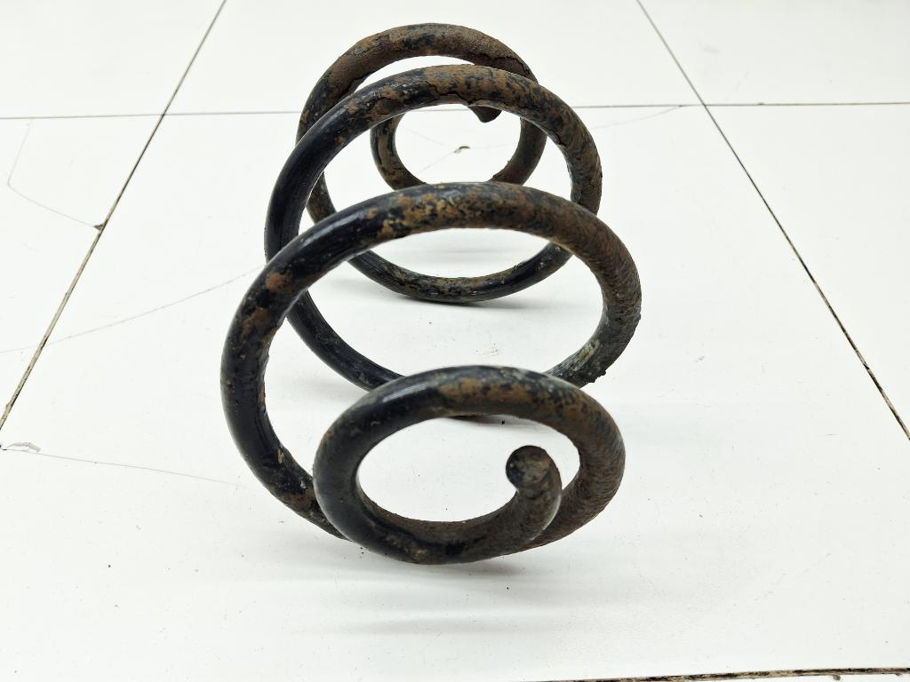 Пружина задняя, 1000 рублей, Пермь