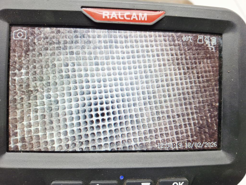 Катализатор, 15000 рублей, Пермь