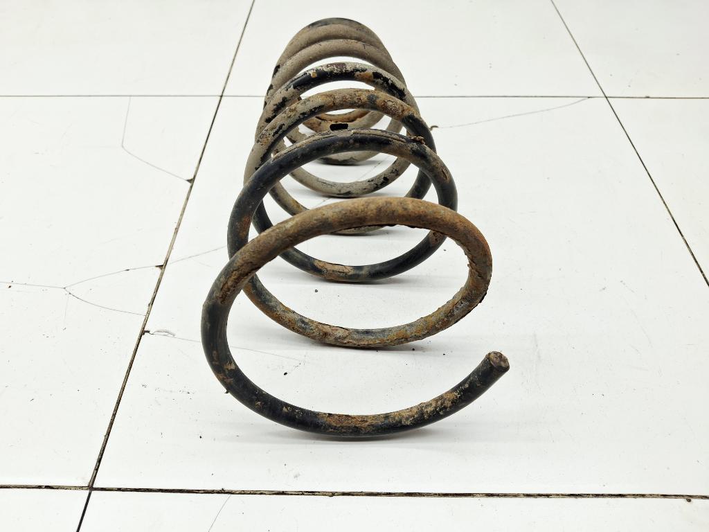 Пружина задняя, 1000 рублей, Пермь