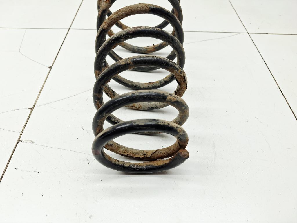 Пружина задняя, 1000 рублей, Пермь