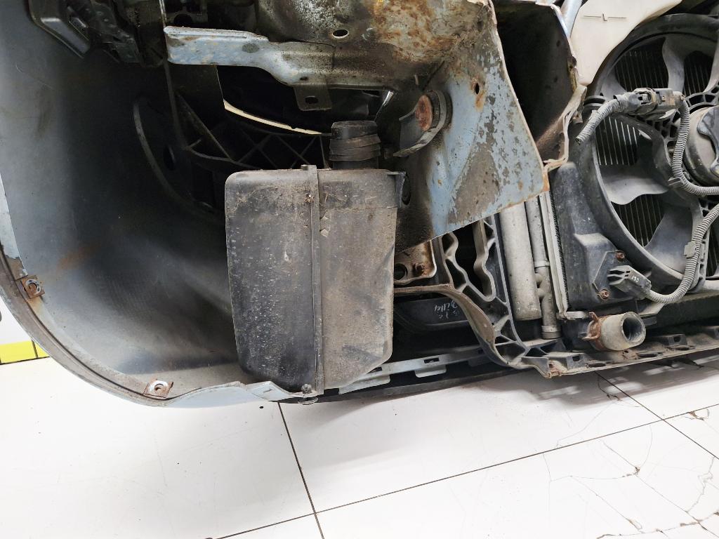 Ноускат, 55000 рублей, Пермь