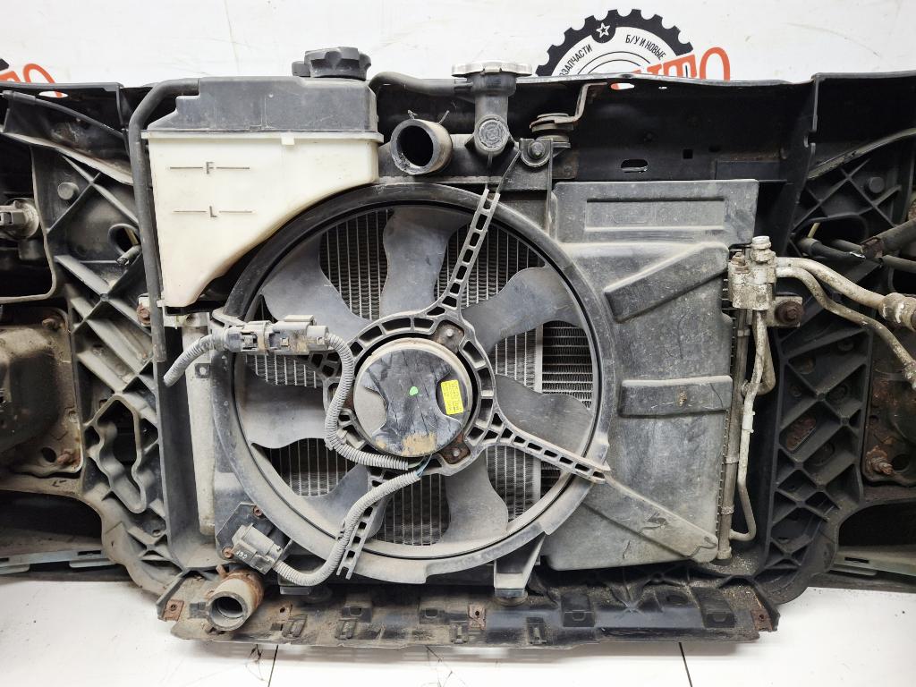 Ноускат, 55000 рублей, Пермь