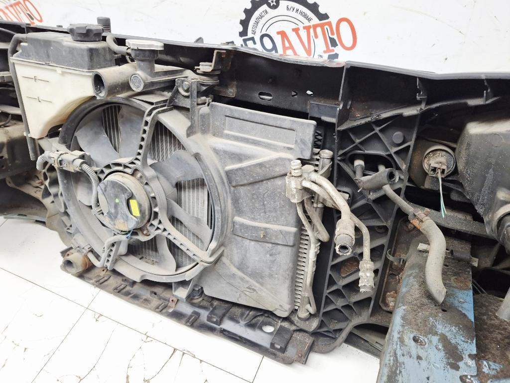 Ноускат, 55000 рублей, Пермь