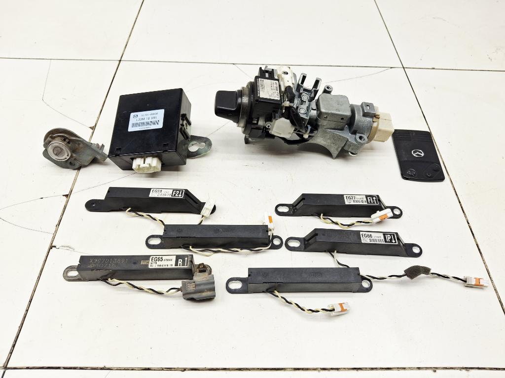 Бесключевой доступ в сборе, 10000 рублей, Пермь