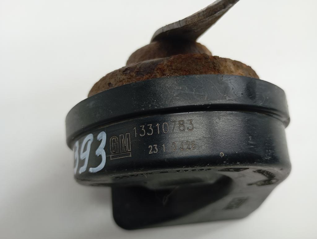 Сигнал звуковой, 1000 рублей, Пермь