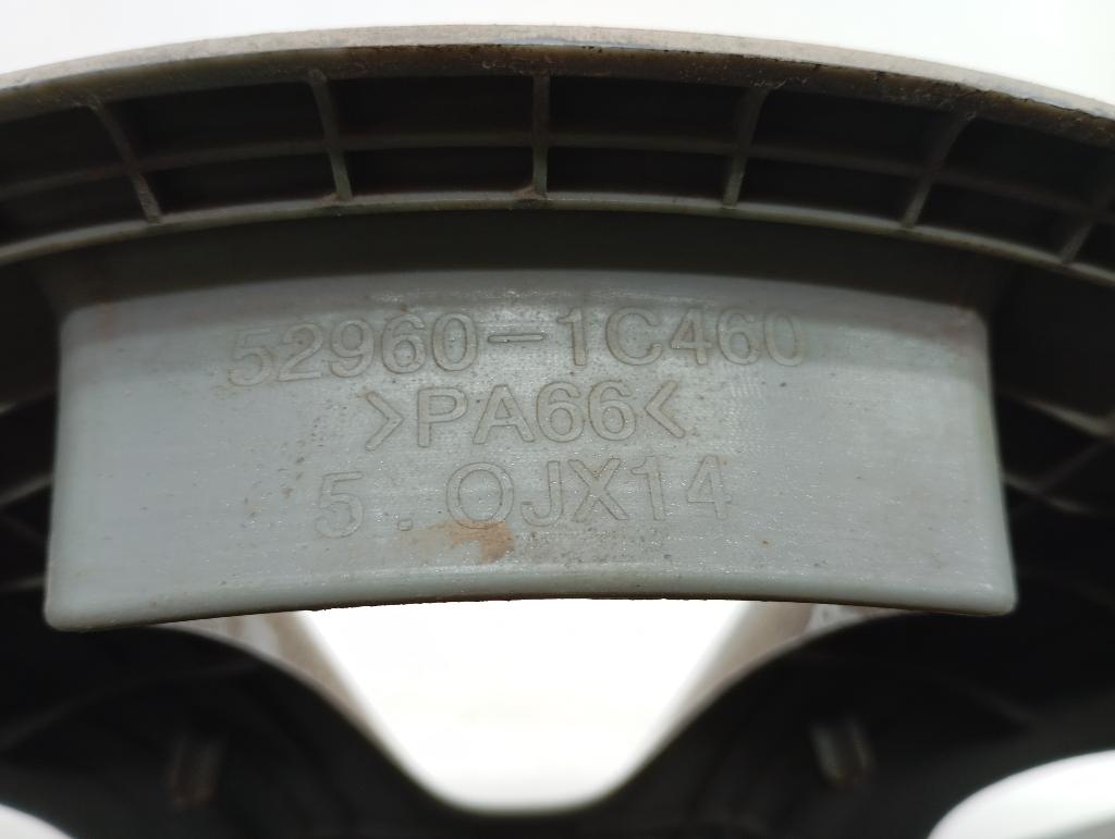 Колпак декоративный, 1000 рублей, Пермь