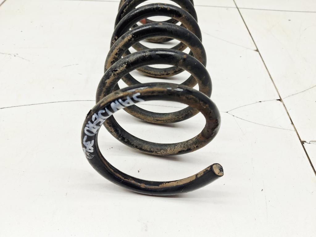 Пружина задняя, 1000 рублей, Пермь