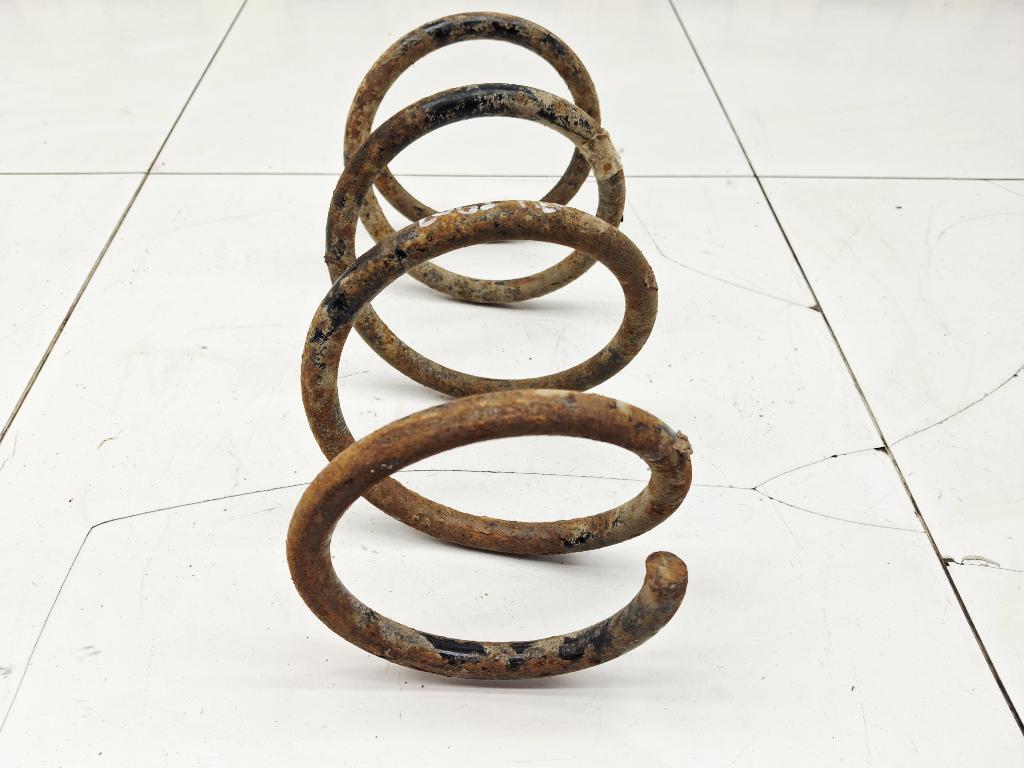 Пружина передняя, 1500 рублей, Пермь