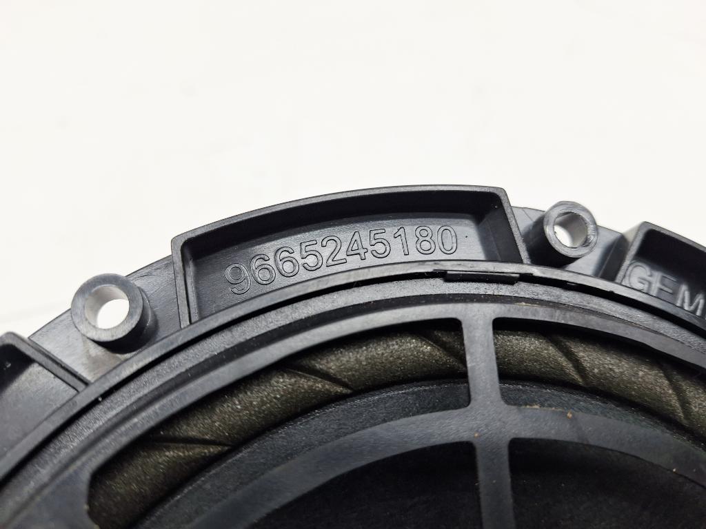 Динамик, 500 рублей, Пермь