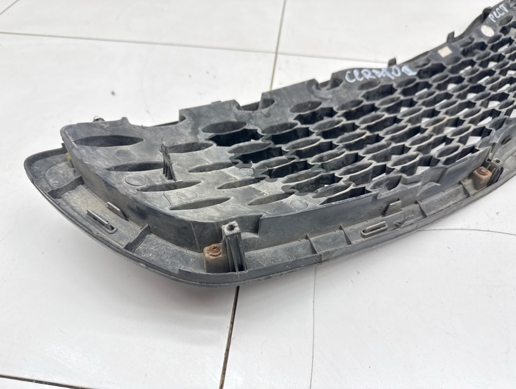 Решетка радиатора, 5000 рублей, Пермь