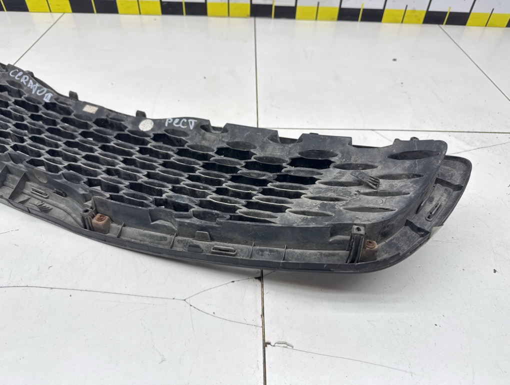 Решетка радиатора, 5000 рублей, Пермь