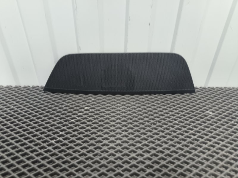 Крышка динамика, 2000 рублей, Балашиха