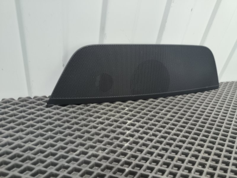 Крышка динамика, 2000 рублей, Балашиха