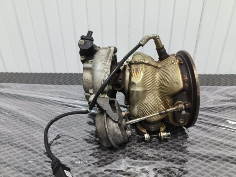 Турбина, 55000 рублей, Балашиха