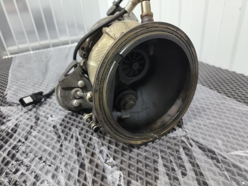 Турбина, 55000 рублей, Балашиха