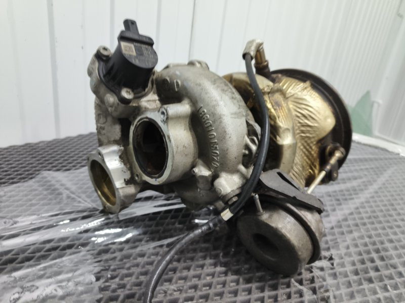 Турбина, 55000 рублей, Балашиха