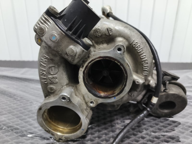 Турбина, 55000 рублей, Балашиха