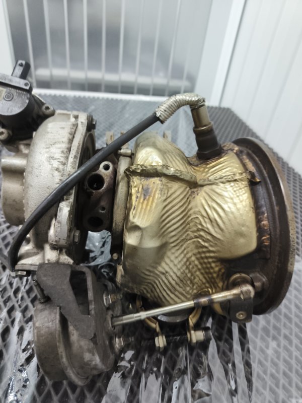 Турбина, 55000 рублей, Балашиха