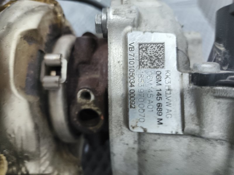 Турбина, 55000 рублей, Балашиха