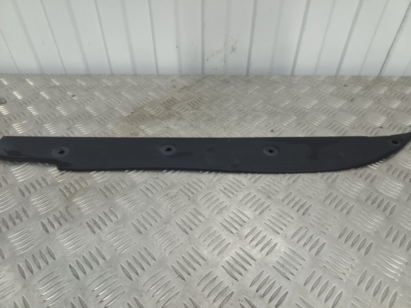 Пыльник крыла, 1000 рублей, Балашиха